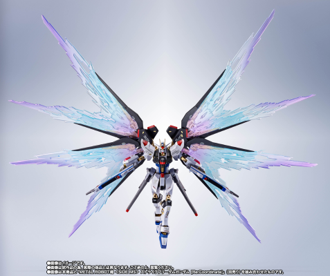 METAL ROBOT魂 ＜机动战士系列＞ 强袭自由高达［Re:Coordinate］专用光之翼与高速火力全开特效配件包