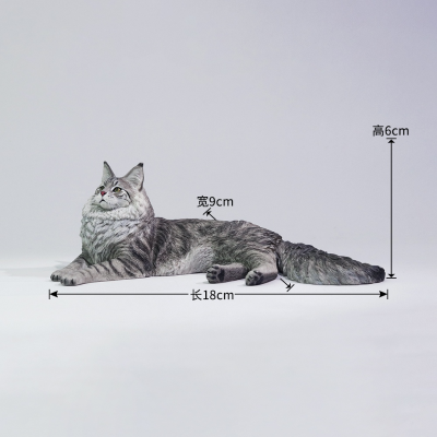 银虎缅因猫