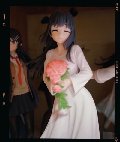 Coreful 青春猪头少年不会梦到怀梦美少女 牧之原翔子（TAITO限定）