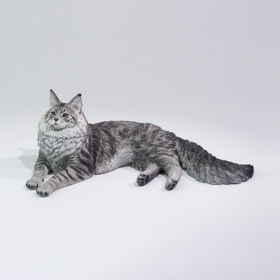 银虎缅因猫