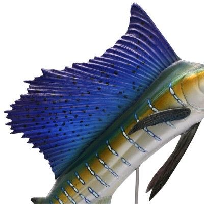 水上精灵#1-005 旗鱼