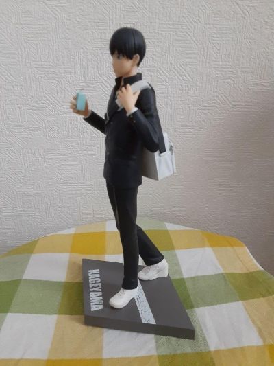 TENITOL 排球少年 日向翔阳