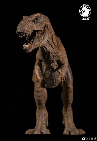 母暴龙“rexy”