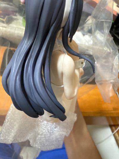 青春猪头少年系列 樱岛麻衣 兔女郎