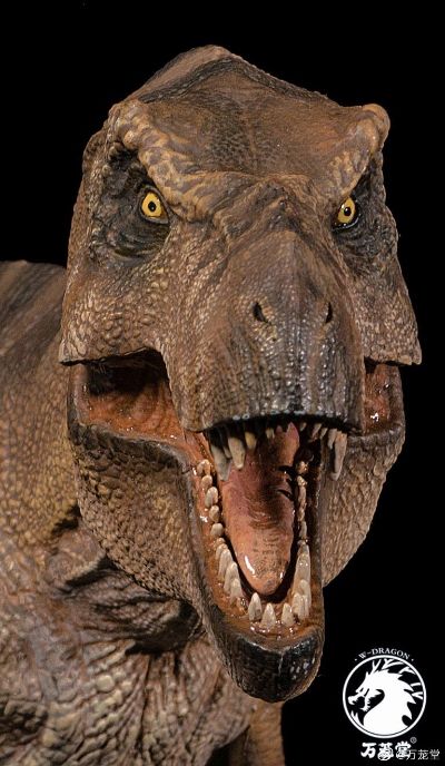 母暴龙“rexy”