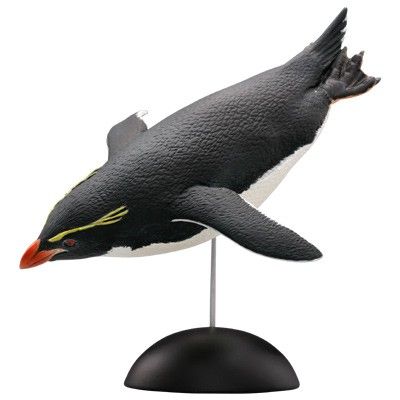 水上精灵#1-004 跳岩企鹅