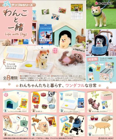 小小样品 狗狗作伴