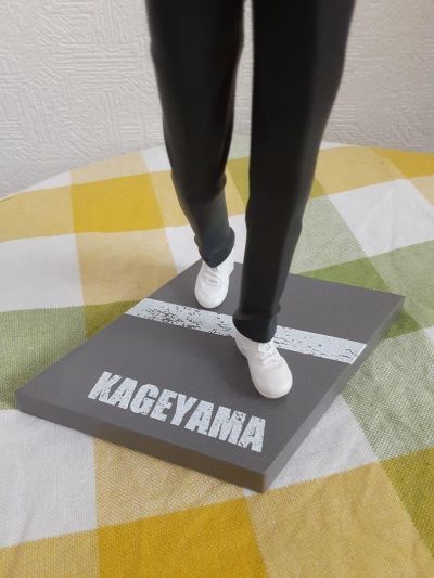 TENITOL 排球少年 日向翔阳