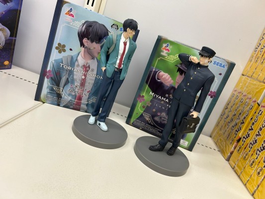 唯愿来世不相识动画版 小坐系列奖品人偶 “鸟苇翔真”