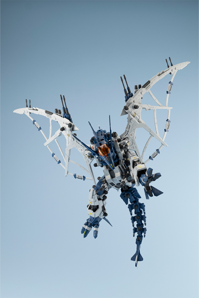 RZ-045 高空翼龙