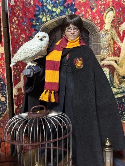 哈利波特与魔法石 罗恩·韦斯莱 学院服