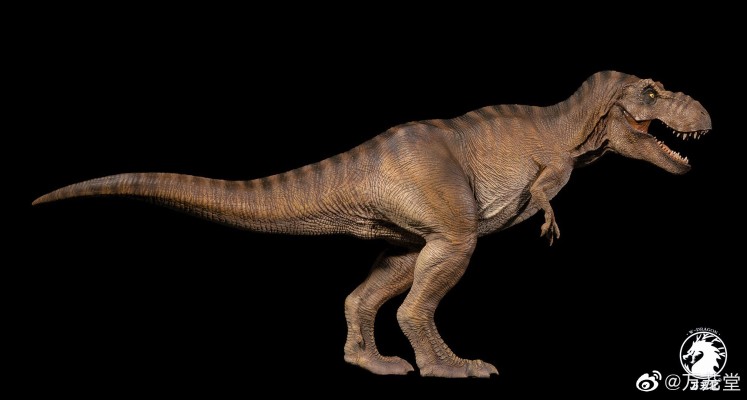 母暴龙“rexy”