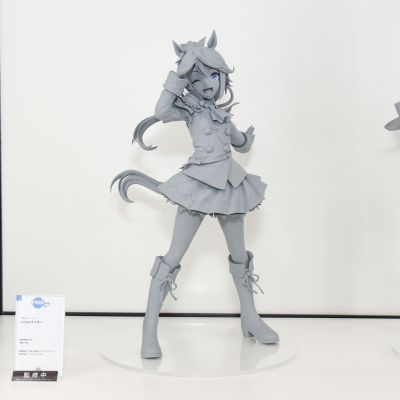 赛马娘 / 闪耀！优俊少女 东海帝皇