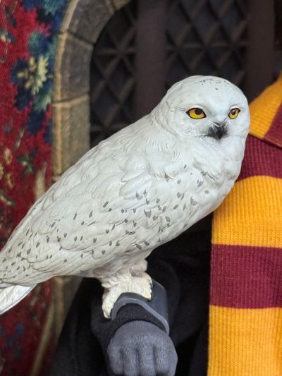 哈利波特与魔法石 罗恩·韦斯莱 学院服