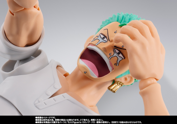 S.H.Figuarts  杰拉基尔·米霍克 -鹰眼-