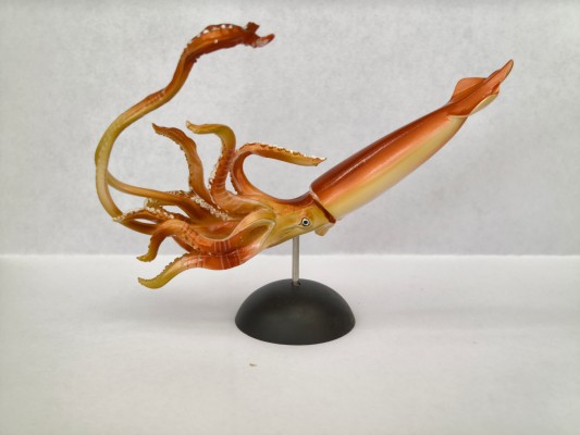 水上精灵 EX 大王乌贼