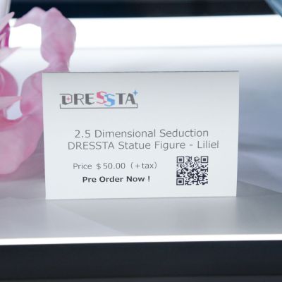 2.5次元的诱惑 DRESSTA 莉莉艾露
