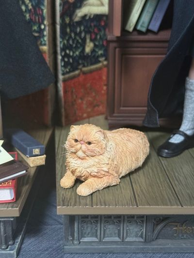 哈利波特与魔法石 罗恩·韦斯莱 学院服