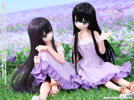 POD022-YCB Sarah's a la Mode 柚叶/甜蜜时光穿搭套装 ~黑莓色头发~(AZONE网上商店限定)