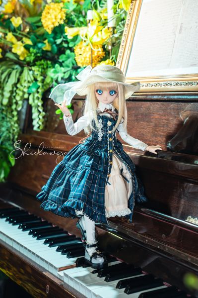 Dollfie Dream  DD 库特wafter 能美库特