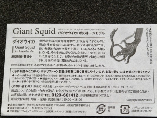 水上精灵 EX 大王乌贼