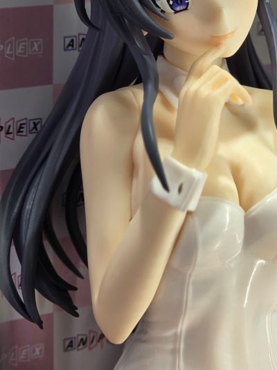 青春猪头少年系列 樱岛麻衣 兔女郎