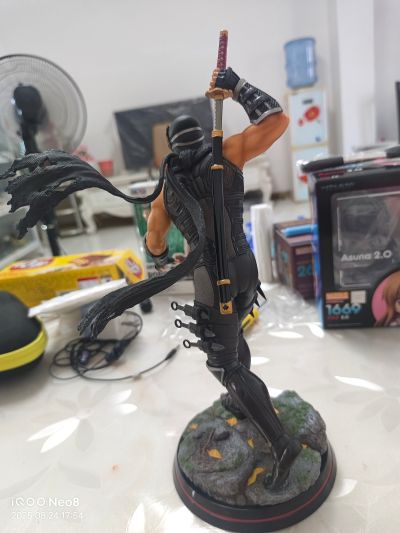 忍者龙剑传系列 龙隼