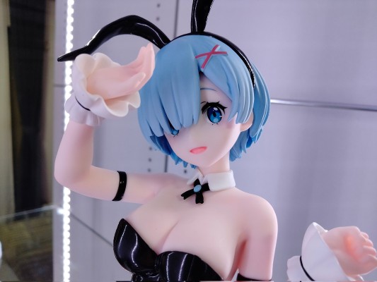 Re：从零开始的异世界生活 BiCute Bunnies玩具人偶ー雷姆·bicolorー