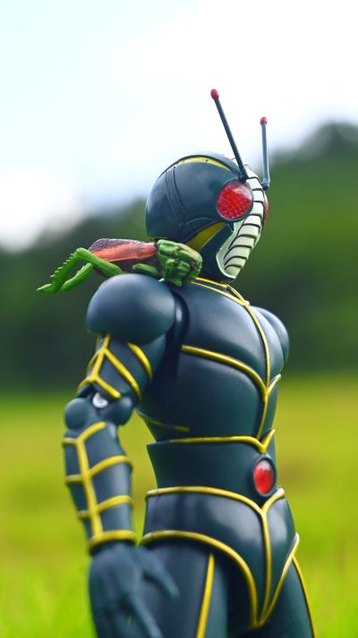 S.H.Figuarts  假面骑士泽零