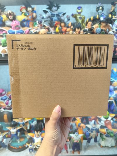 S.H.Figuarts 萨波-真正的力量-