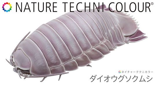 大王具足虫