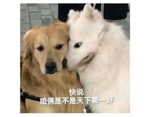 破剑之刃 艾尔迪米斯 更新版