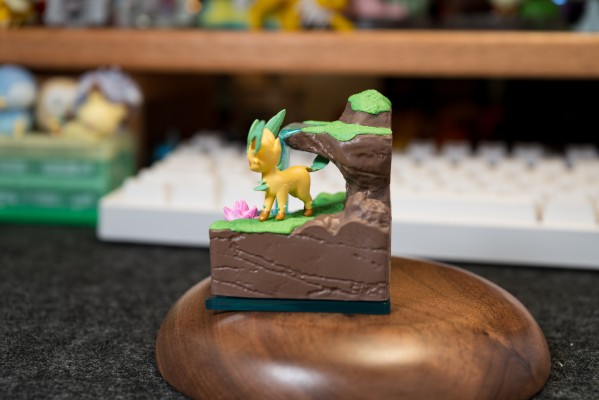 集集乐 铺铺乐 宝可梦世界2 神秘之泉