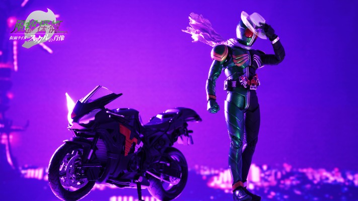 风都侦探 假面骑士颅骨的肖像 影视光碟  S.H.Figuarts（真骨雕制法）假面骑士双骑 疾风颅骨形态人偶配套标准版