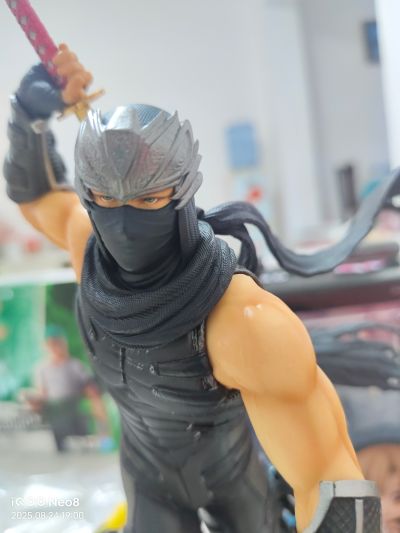 忍者龙剑传系列 龙隼