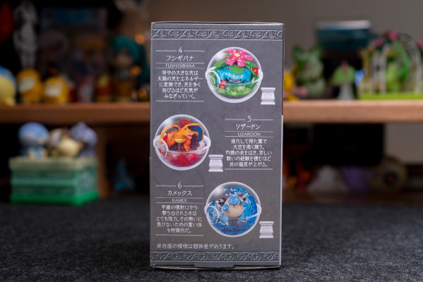 宝可梦微景观藏品15