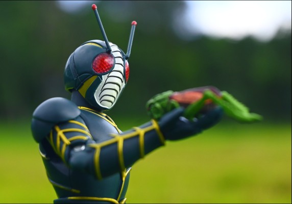 S.H.Figuarts  假面骑士泽零