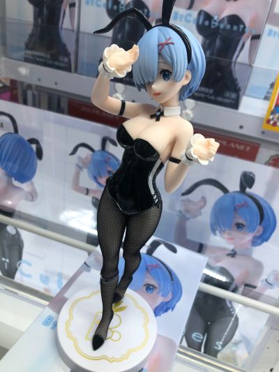 Re：从零开始的异世界生活 BiCute Bunnies玩具人偶ー雷姆·bicolorー