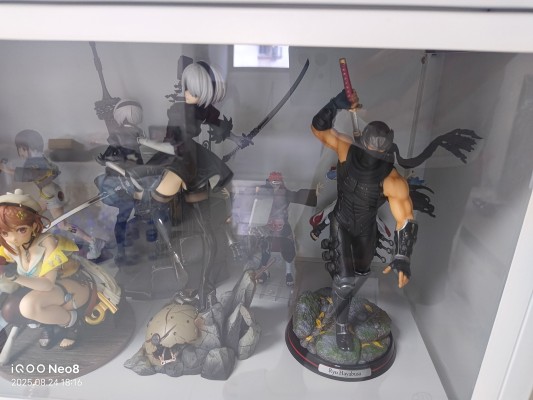 忍者龙剑传系列 龙隼