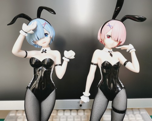 Re：从零开始的异世界生活 BiCute Bunnies玩具人偶ー雷姆·bicolorー