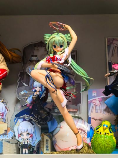 シュラキ・トリニティ 柳妹凤