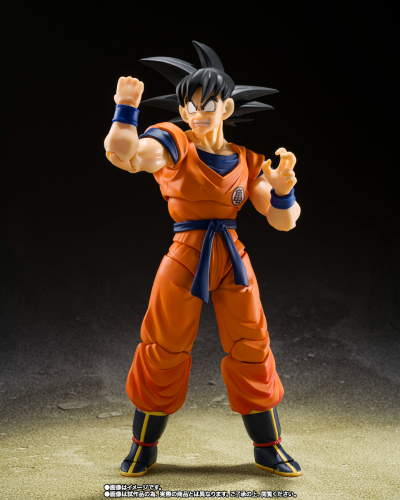 S.H.Figuarts 孙悟空&孙悟饭-幼年期-&筋斗云