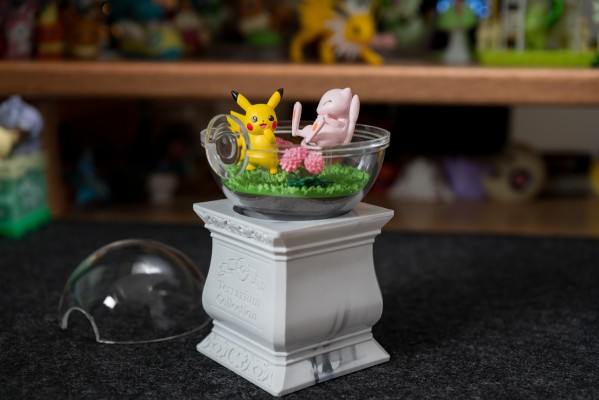 宝可梦微景观藏品15