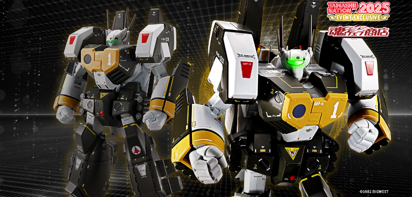 DX超合金 VF-1S 装甲女武神（罗伊·福克特制机）