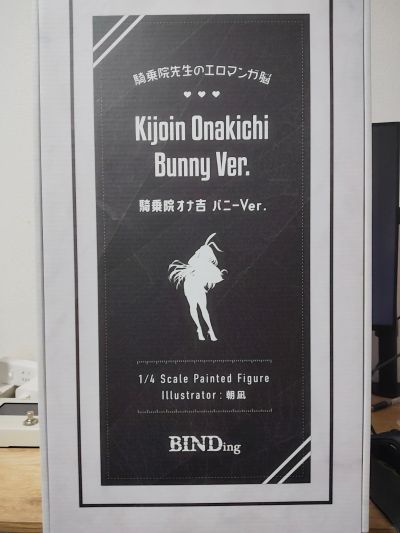 骑乘院奈吉 兔女郎