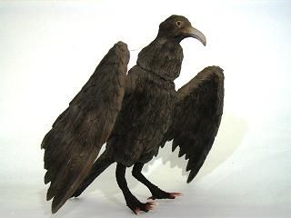 大怪兽系列 奥特Q编 古代怪鸟 拉尔杰乌斯  彩色版