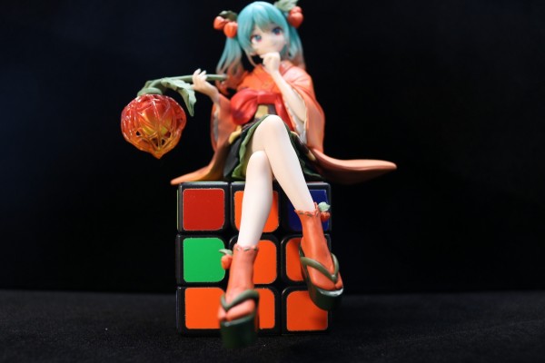 初音未来 压泡面人偶 花仙子系列ー酸浆果仙子ー