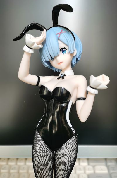 Re：从零开始的异世界生活 BiCute Bunnies玩具人偶ー雷姆·bicolorー