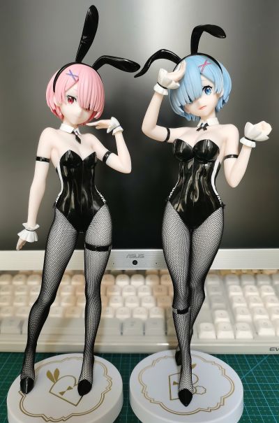 Re：从零开始的异世界生活 BiCute Bunnies玩具人偶ー雷姆·bicolorー