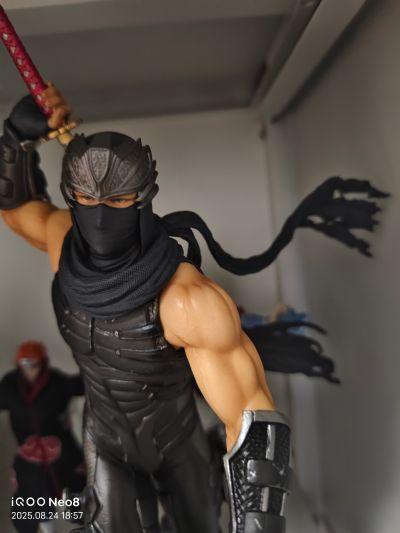 忍者龙剑传系列 龙隼